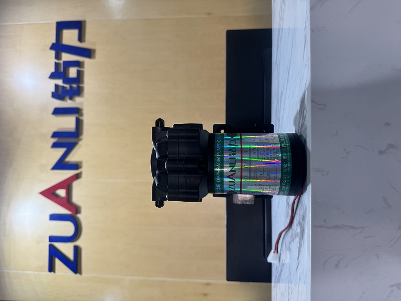 Zuanli é o dos melhores fabricantes de bombas de rotação da RO da China.