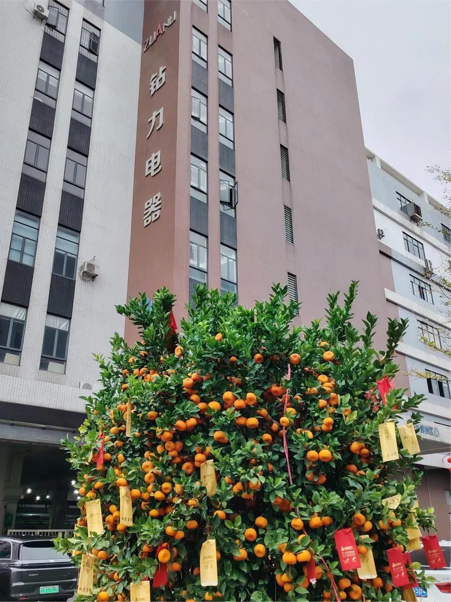 Primeira remessa após o ano novo chinês: bombas de osmose reversa de alto torque vão para o mercado externo - bomba zuanli ro!